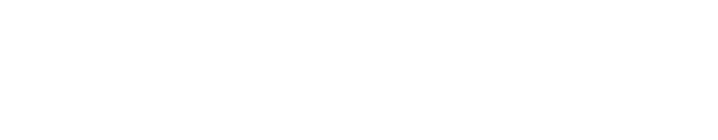 Leadoo White logo Tuotepäivityspalaveri