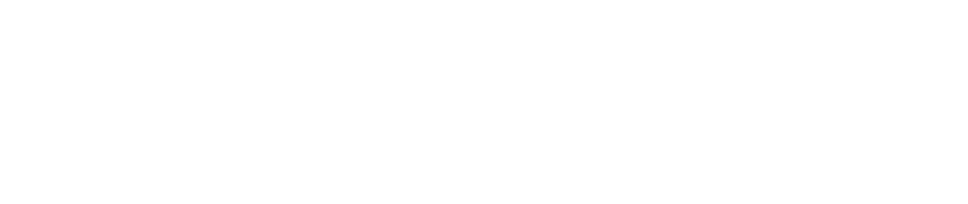 Leadoo logo WHITE Media Kit
