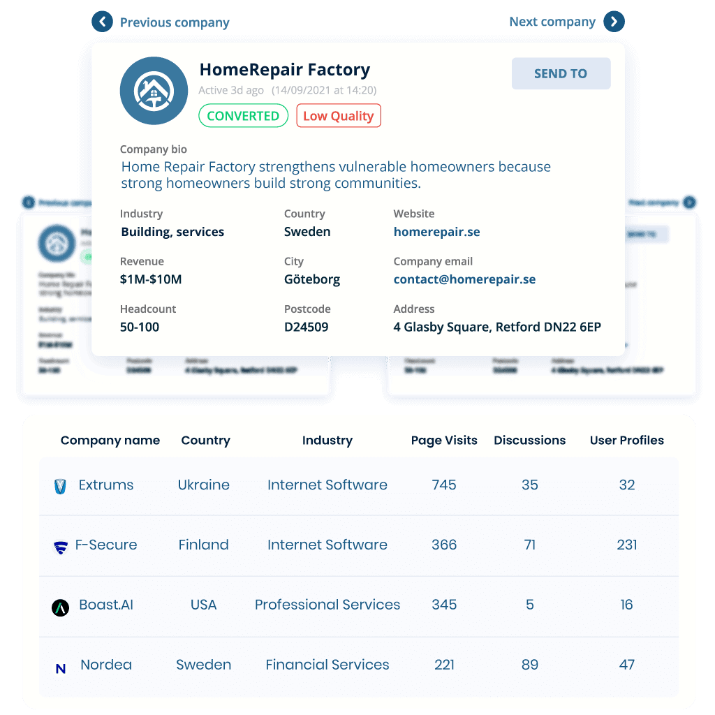 Company Identification elements option of the Conversion Insights